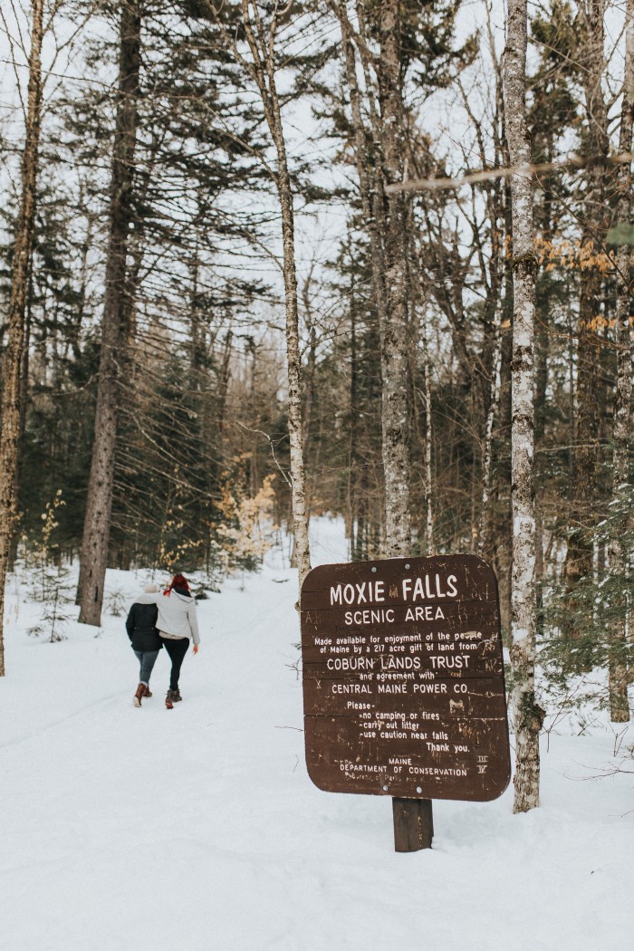 melookinoutwindow(1of1)-4