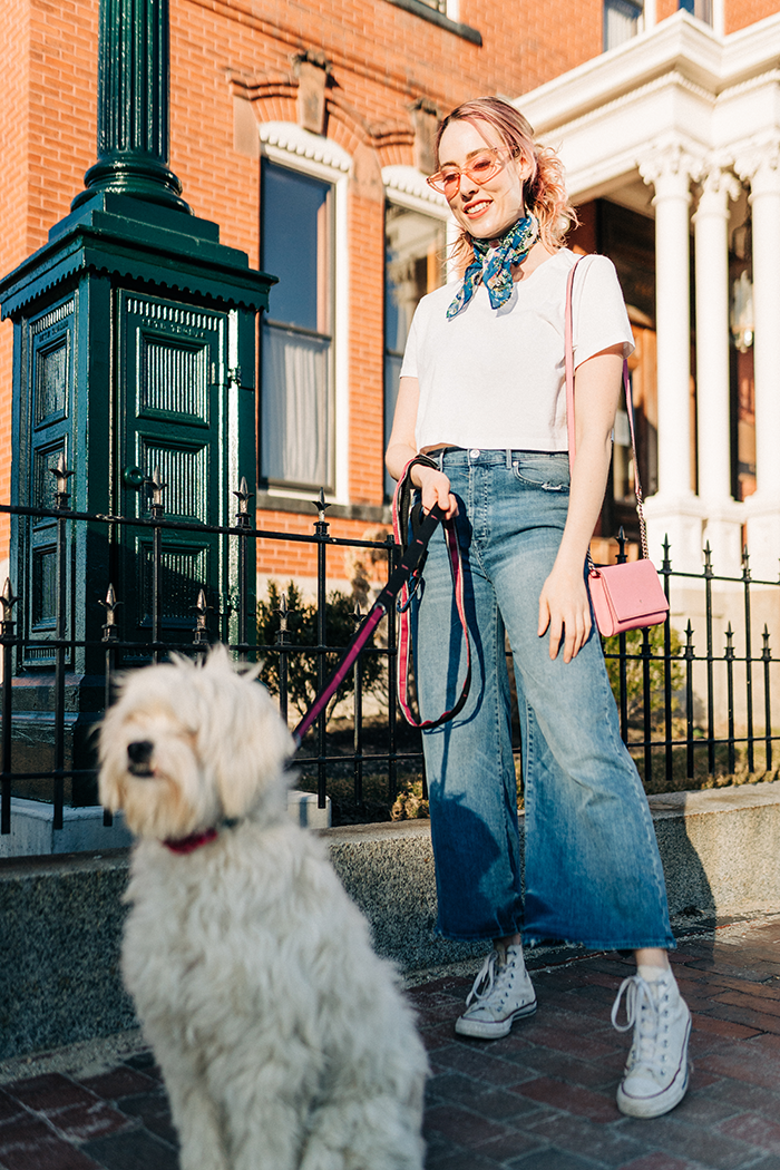 dog_friendly_hotel_maine